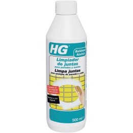 HG LIMPIADOR JUNTAS LISTO