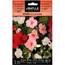 Alegria de la casa Impatiens vda