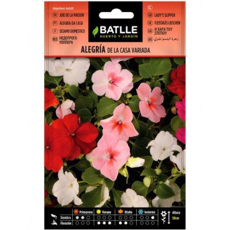 Alegria de la casa Impatiens variada