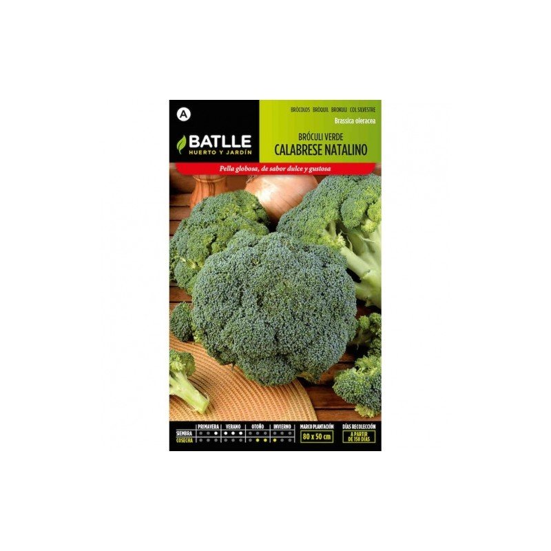 Broculi VERDE CALABRESE
