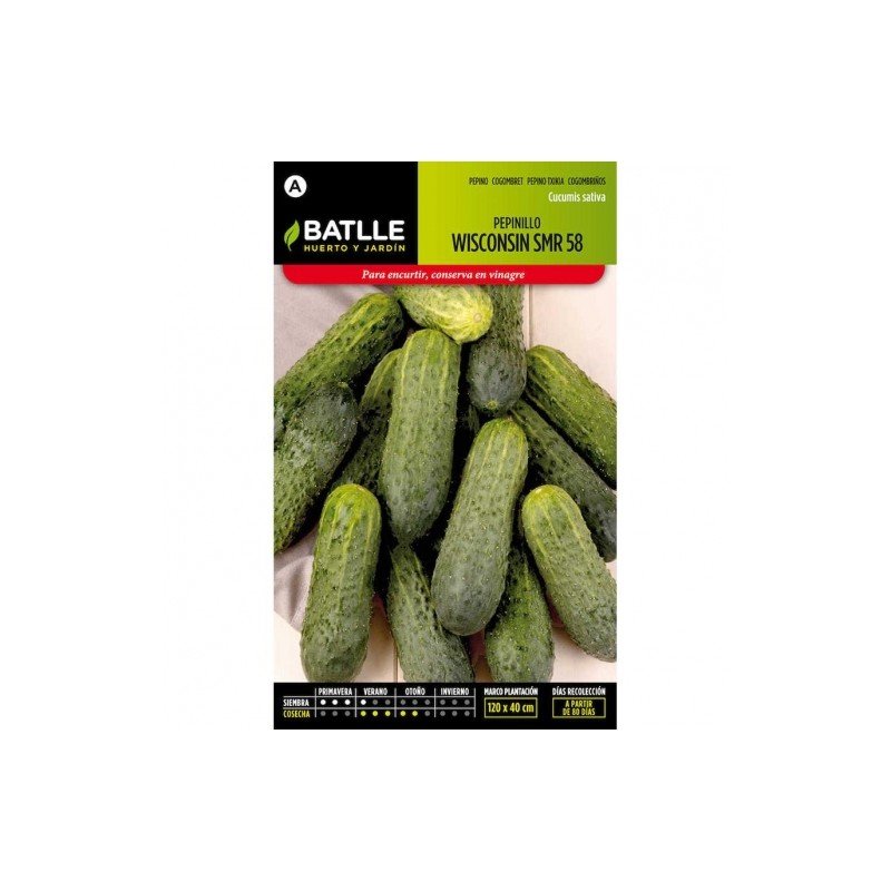 Pepinillo WISCONSIN SMR 118