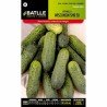 Pepinillo WISCONSIN SMR 118