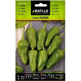 Pimiento PADRON