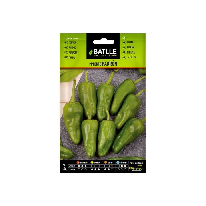 Pimiento PADRON