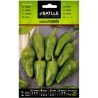 Pimiento PADRON