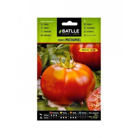 Tomate MUCHAMIEL