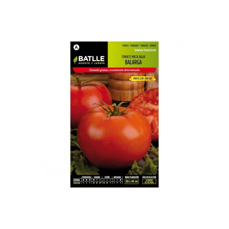 Tomate BALARGA