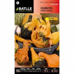 Calabacitas ADORNO variadas