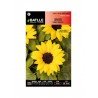 Girasol enano Wahoo Amarillo