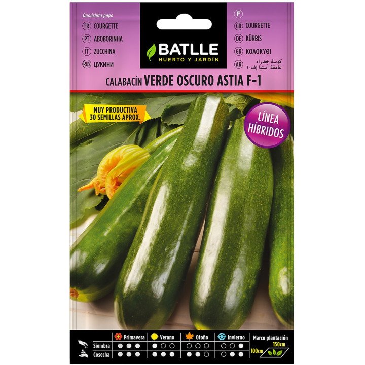 Calabacin verde Oscuro ASTIA F-1