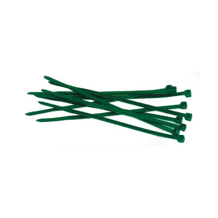 BRIDA NYLON VERDE B/100 2,5X100MM