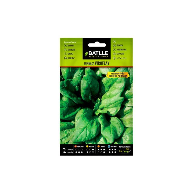 Espinaca VIROFLAY