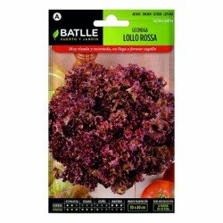 Lechuga LOLLO ROSSA