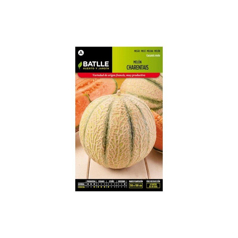 Melon CHARENTAIS