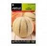 Melon CHARENTAIS