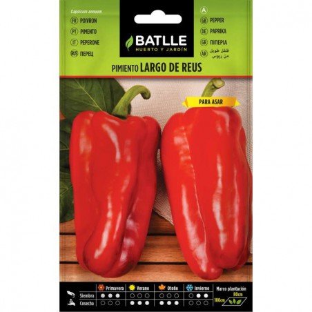 Pimiento LARGO DE REUS