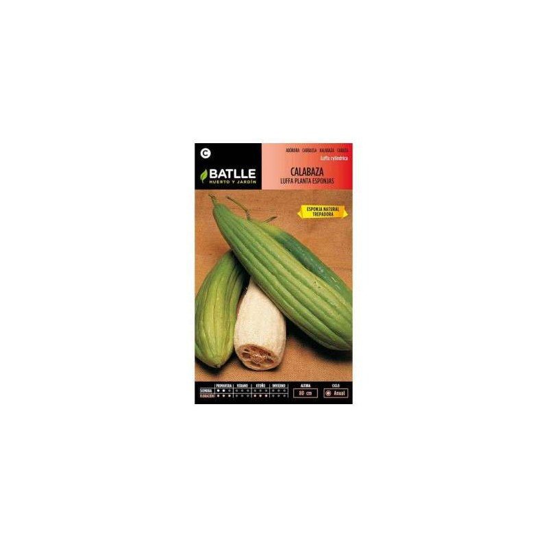 Calabaza LUFFA planta Esponjas