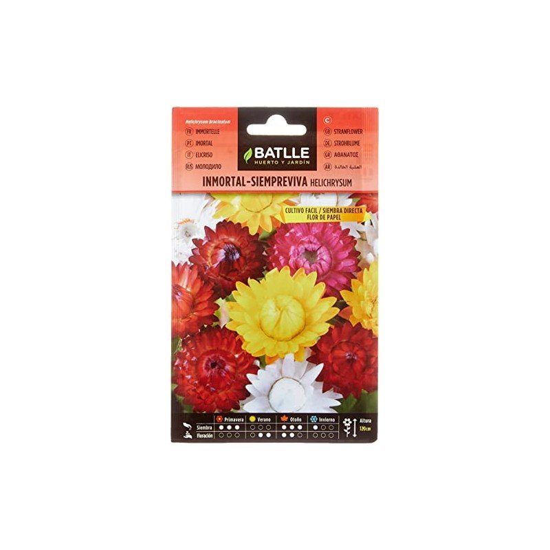 Immortal-Siempreviva Helichrysum