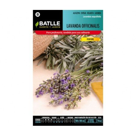 Lavanda OFFICINALIS
