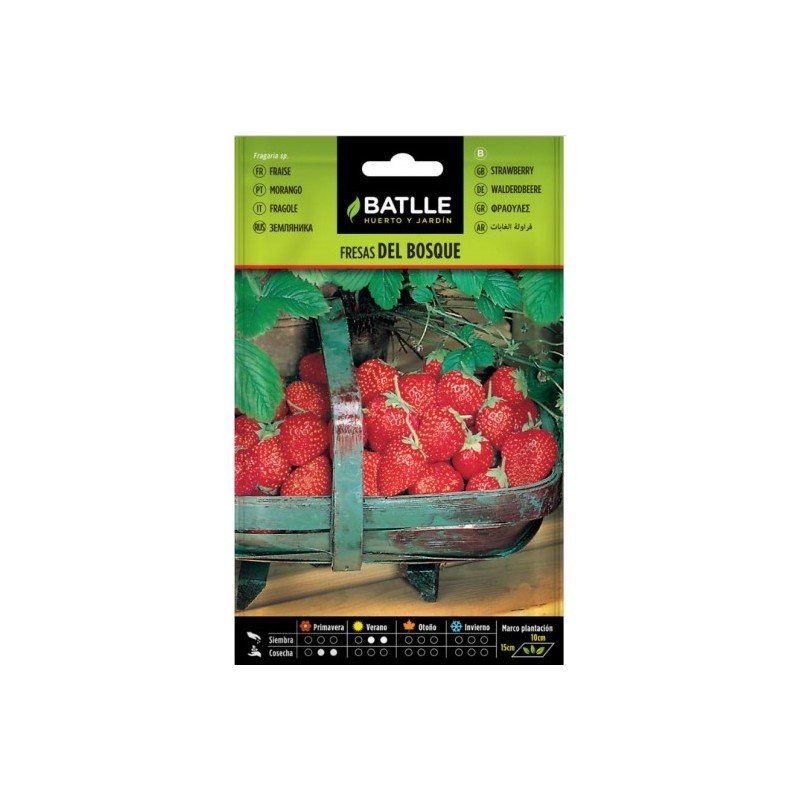 Fresas de Bosque