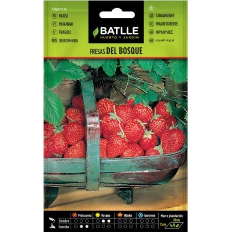 Fresas de Bosque