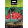 Fresas de Bosque