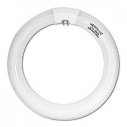 TUBO FLUORESCENTE CIRCULAR 32W TRIFOSFORO 865
