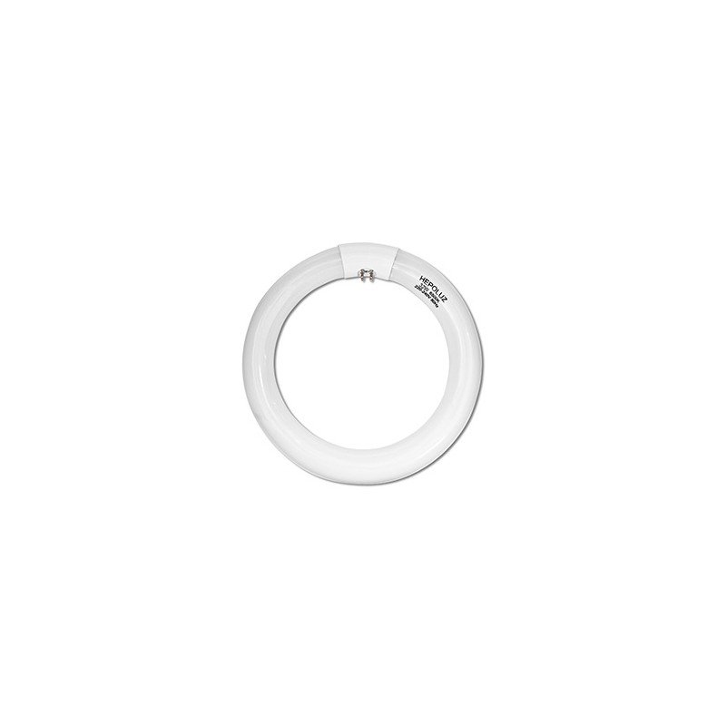 TUBO FLUORESCENTE CIRCULAR 32W TRIFOSFORO 865