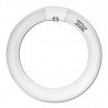 TUBO FLUORESCENTE CIRCULAR 32W TRIFOSFORO 865